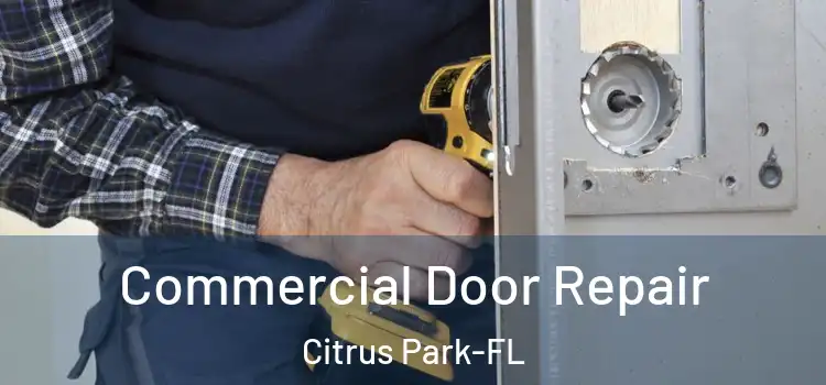  Commercial Door Repair Citrus Park-FL