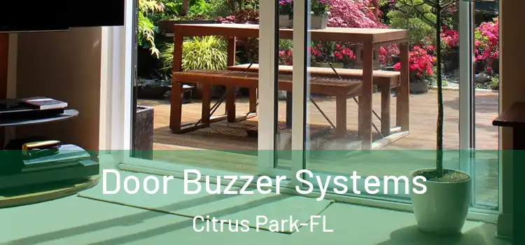 Door Buzzer Systems Citrus Park-FL