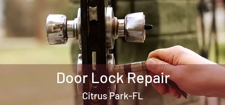  Door Lock Repair Citrus Park-FL