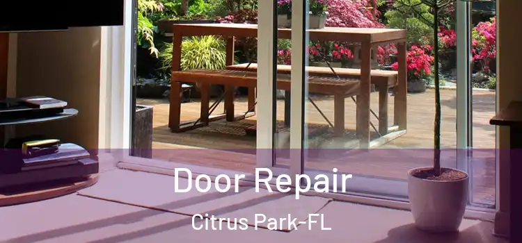  Door Repair Citrus Park-FL