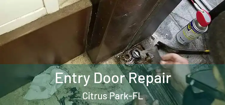  Entry Door Repair Citrus Park-FL