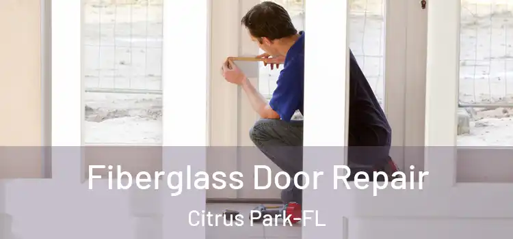  Fiberglass Door Repair Citrus Park-FL