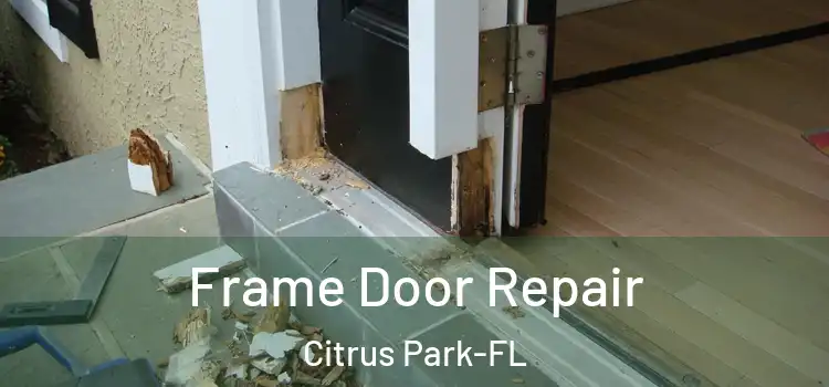  Frame Door Repair Citrus Park-FL