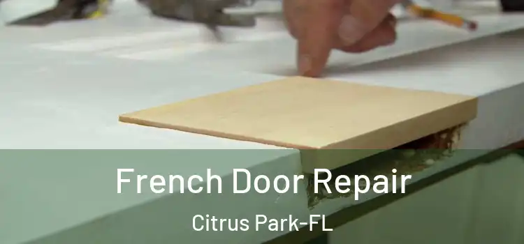  French Door Repair Citrus Park-FL