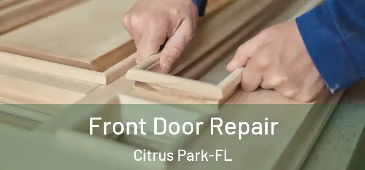  Front Door Repair Citrus Park-FL
