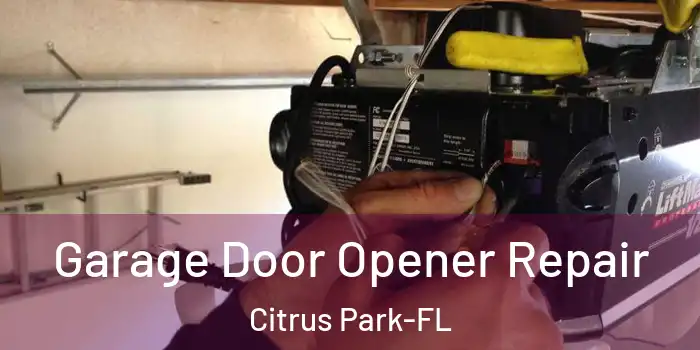  Garage Door Opener Repair Citrus Park-FL