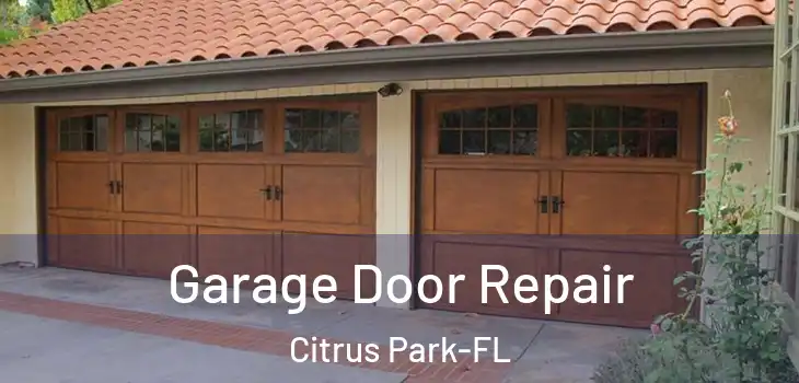  Garage Door Repair Citrus Park-FL