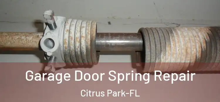  Garage Door Spring Repair Citrus Park-FL