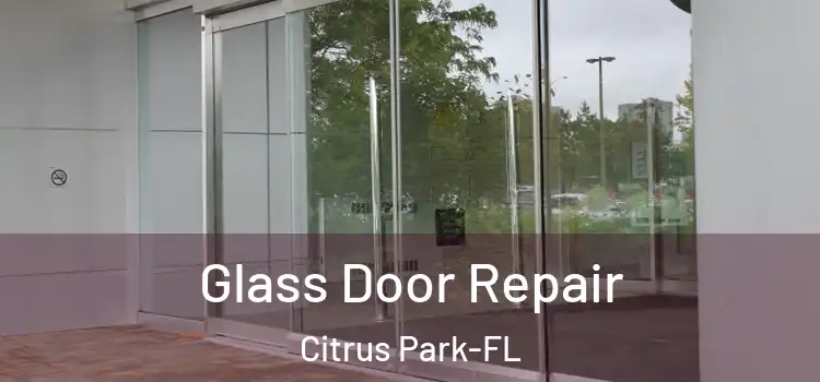  Glass Door Repair Citrus Park-FL