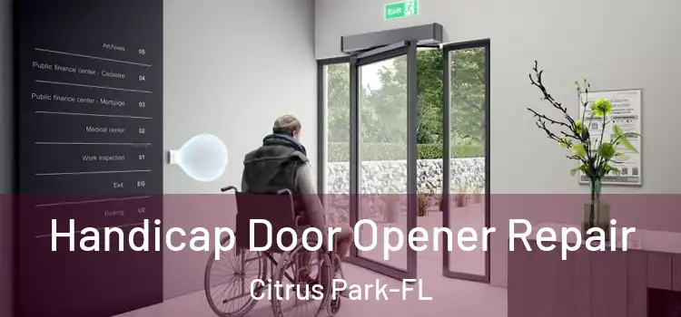  Handicap Door Opener Repair Citrus Park-FL