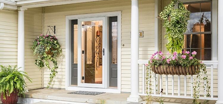 screen door installation in Citrus Park