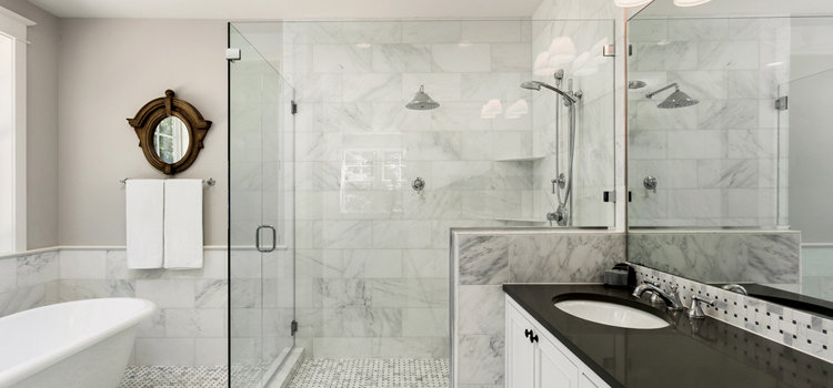 bathroom shower door installation in Citrus Park