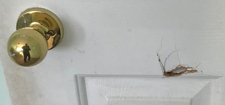 interior door hole repair Citrus Park