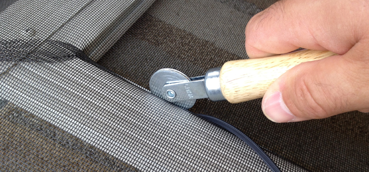 metal screen door repair in Citrus Park