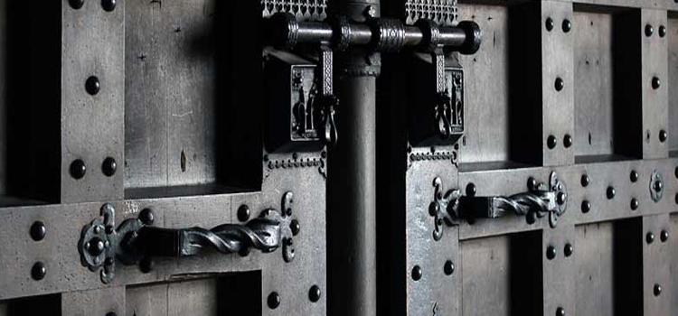 steel entry door repair in Citrus Park