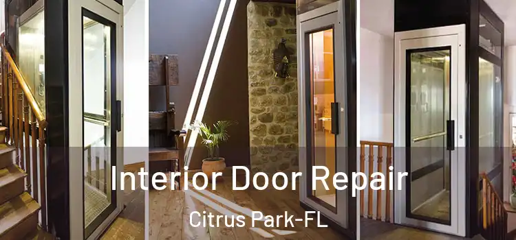  Interior Door Repair Citrus Park-FL