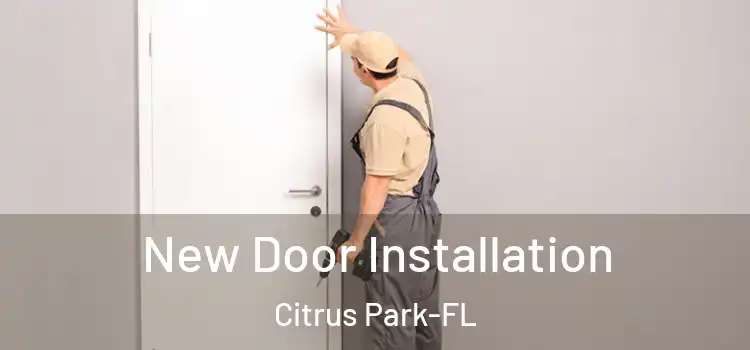  New Door Installation Citrus Park-FL