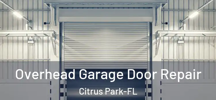  Overhead Garage Door Repair Citrus Park-FL