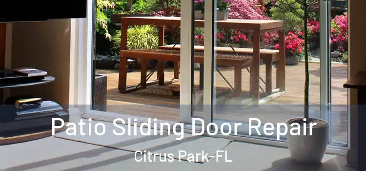  Patio Sliding Door Repair Citrus Park-FL