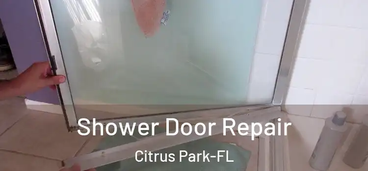  Shower Door Repair Citrus Park-FL