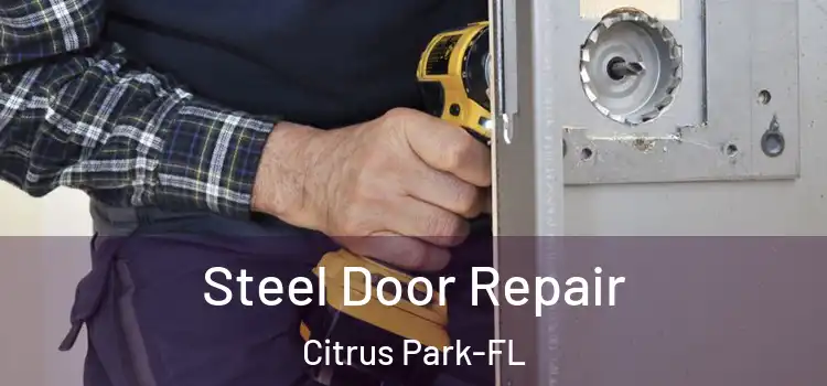  Steel Door Repair Citrus Park-FL