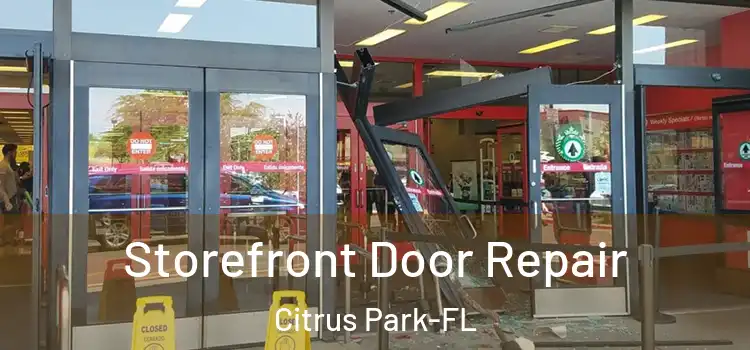  Storefront Door Repair Citrus Park-FL
