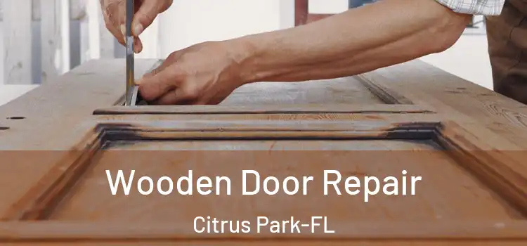  Wooden Door Repair Citrus Park-FL